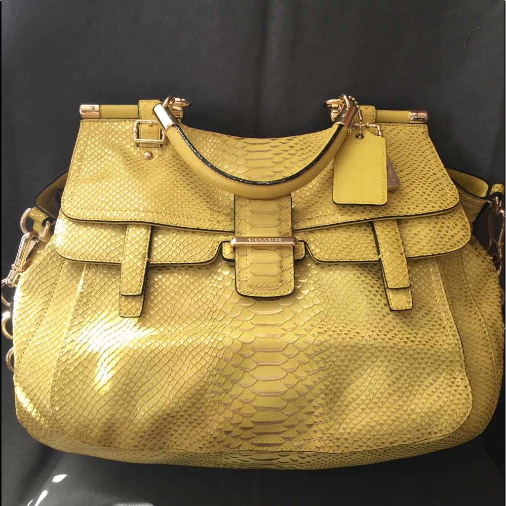 Nwt Coach Pinnacle Embossed Metallic Python